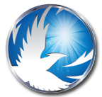 The Somatic Healing&trade; Program for Injury, Pain and Disease
