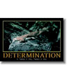 Motivational: Determination: If there's a will, there's a way