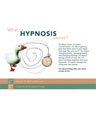 What is Hypnosis About Poster
